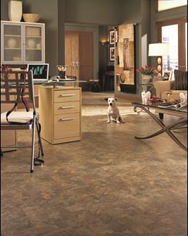 Monarch-Carpet-One-Floor-and-Home-Edmonton-AB-Laminate